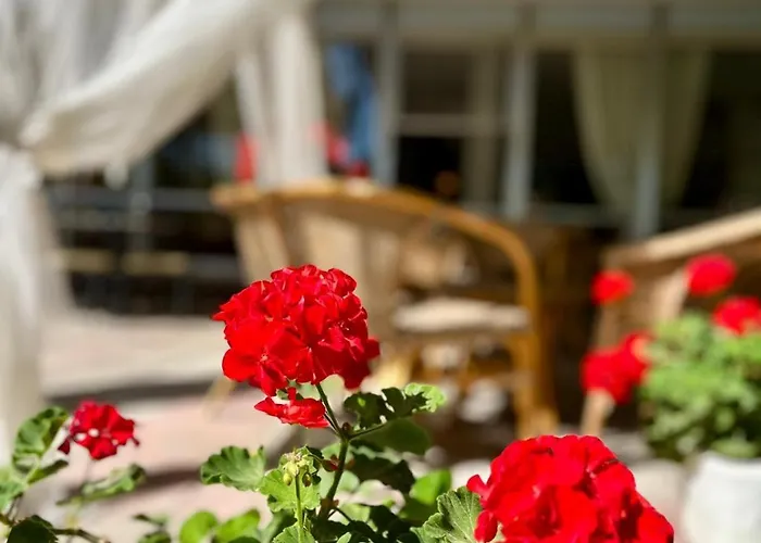 Hotel San Pietro