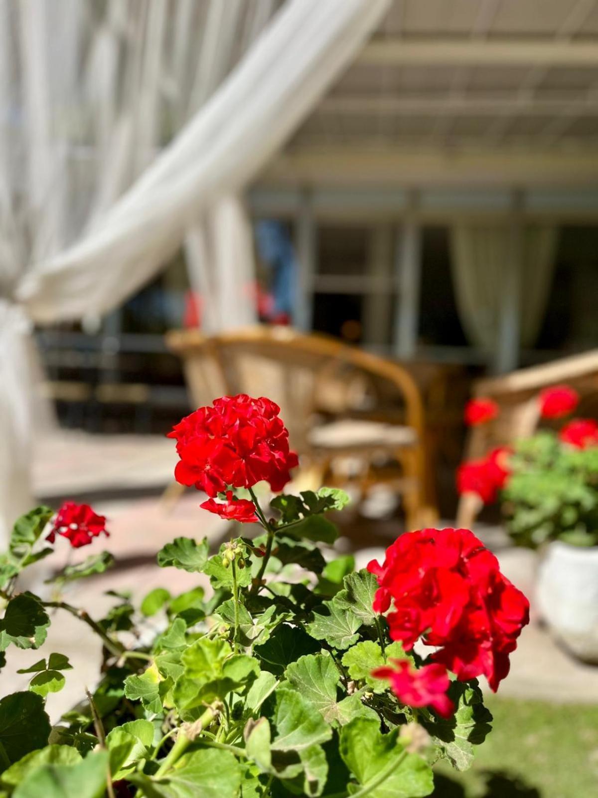 San Pietro Hotel 3*